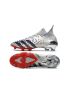 Adidas Predator Freak.1 FG Football Boots Silver Metallic Black Scarlet