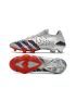 Adidas Predator Freak.1 Low FG Football Boots Silver Metallic Black Scarlet