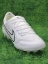 Nike Tiempo Legend 9 Elite FG White Black