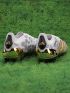 adidas Predator Elite FG Generation Pred 2.0 - Footwear White/Core Black/Gold Metallic