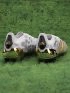 adidas Predator Elite FG Generation Pred 2.0 - Footwear White/Core Black/Gold Metallic