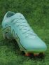 Nike Air Zoom Mercurial Vapor 15 Elite FG - Blue/Volt/Green