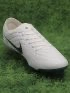 Nike Tiempo Legend 10 Elite FG Pearl - Sail/Dark Atomic Teal