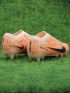 Nike Air Zoom Mercurial Vapor 15 Elite AG-Pro United - Guava Ice/Black