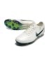Nike Tiempo Legend 10 Elite FG Pearl - Sail/Dark Atomic Teal